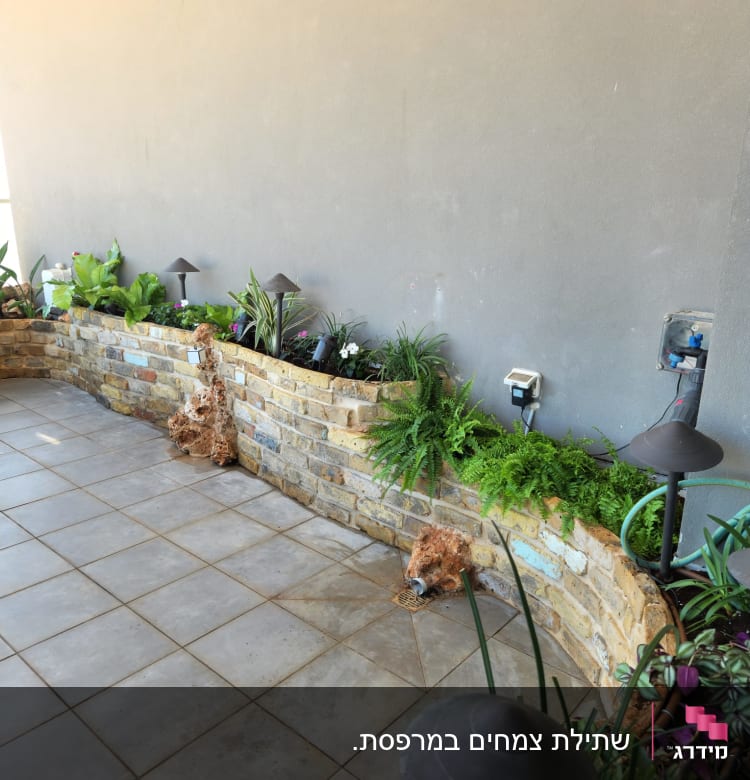 ערוגת צמחים עם תאורה וכלי גינון